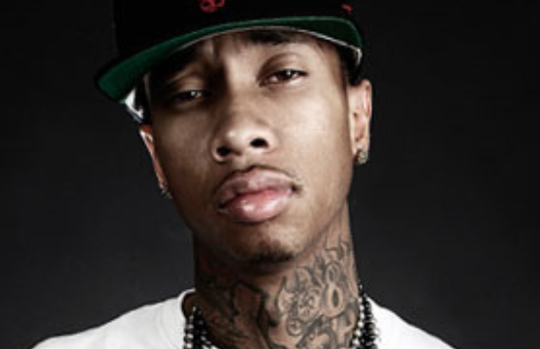 tyga vermögen