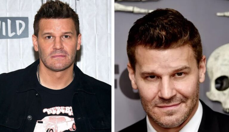 david boreanaz